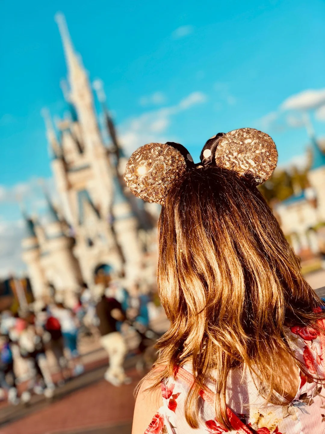 Ten critical steps for surviving Walt Disney World 