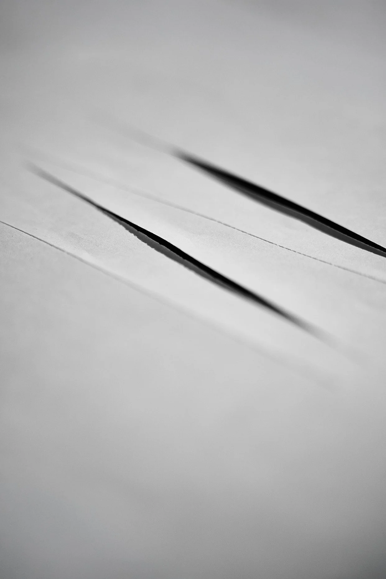 _75A5812.jpg