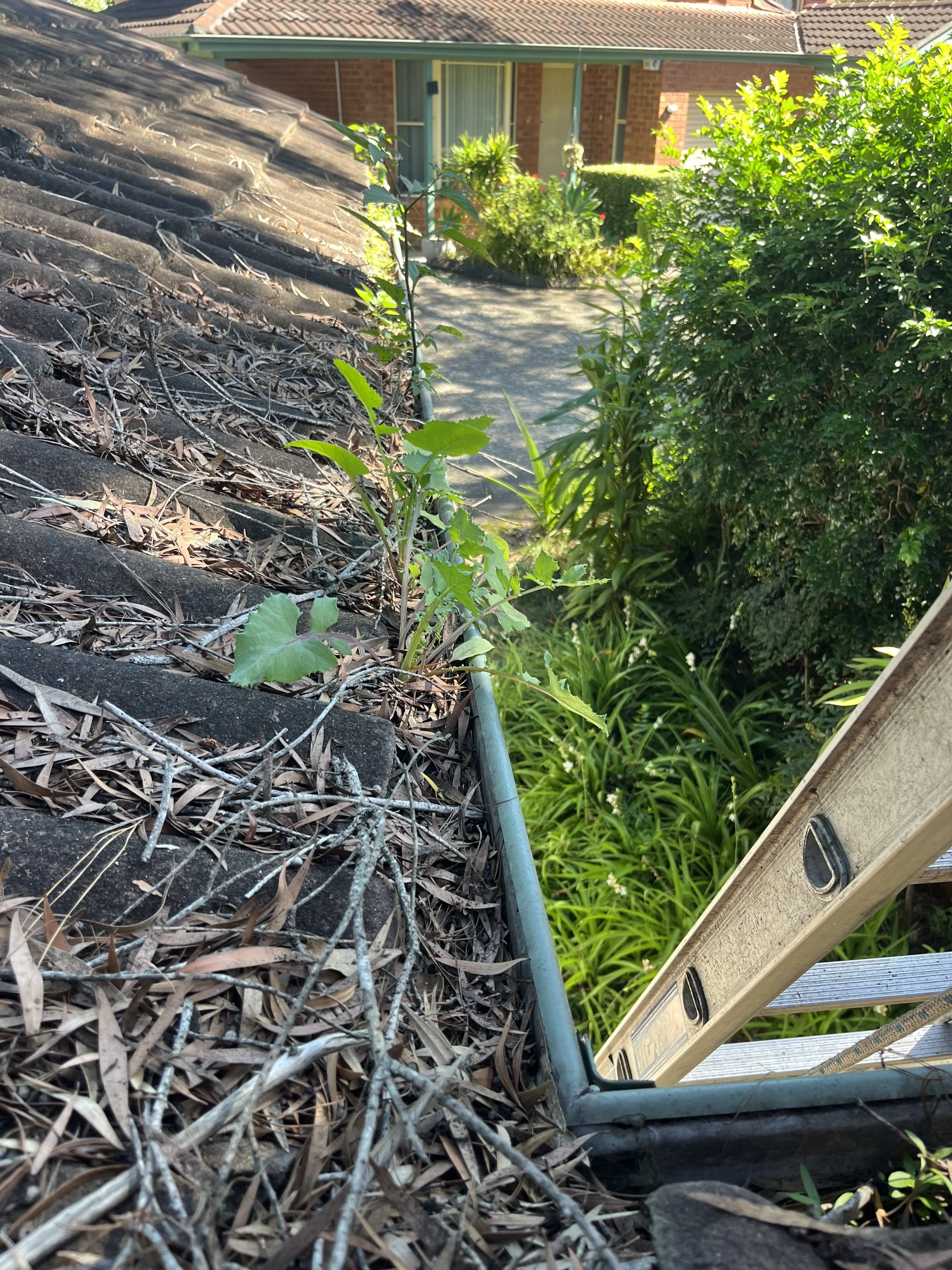 Residential gutter cleaning service in Sydney home with tiled roof