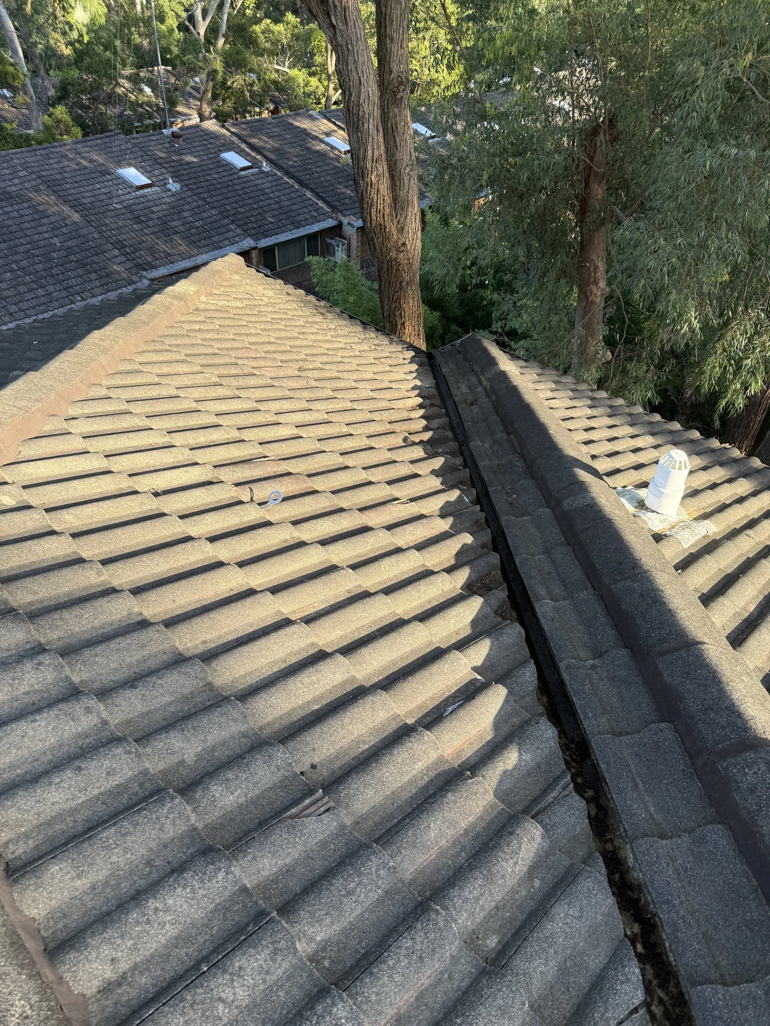 Gutter cleaning service in Sydney removing leaves and debris from roof gutters