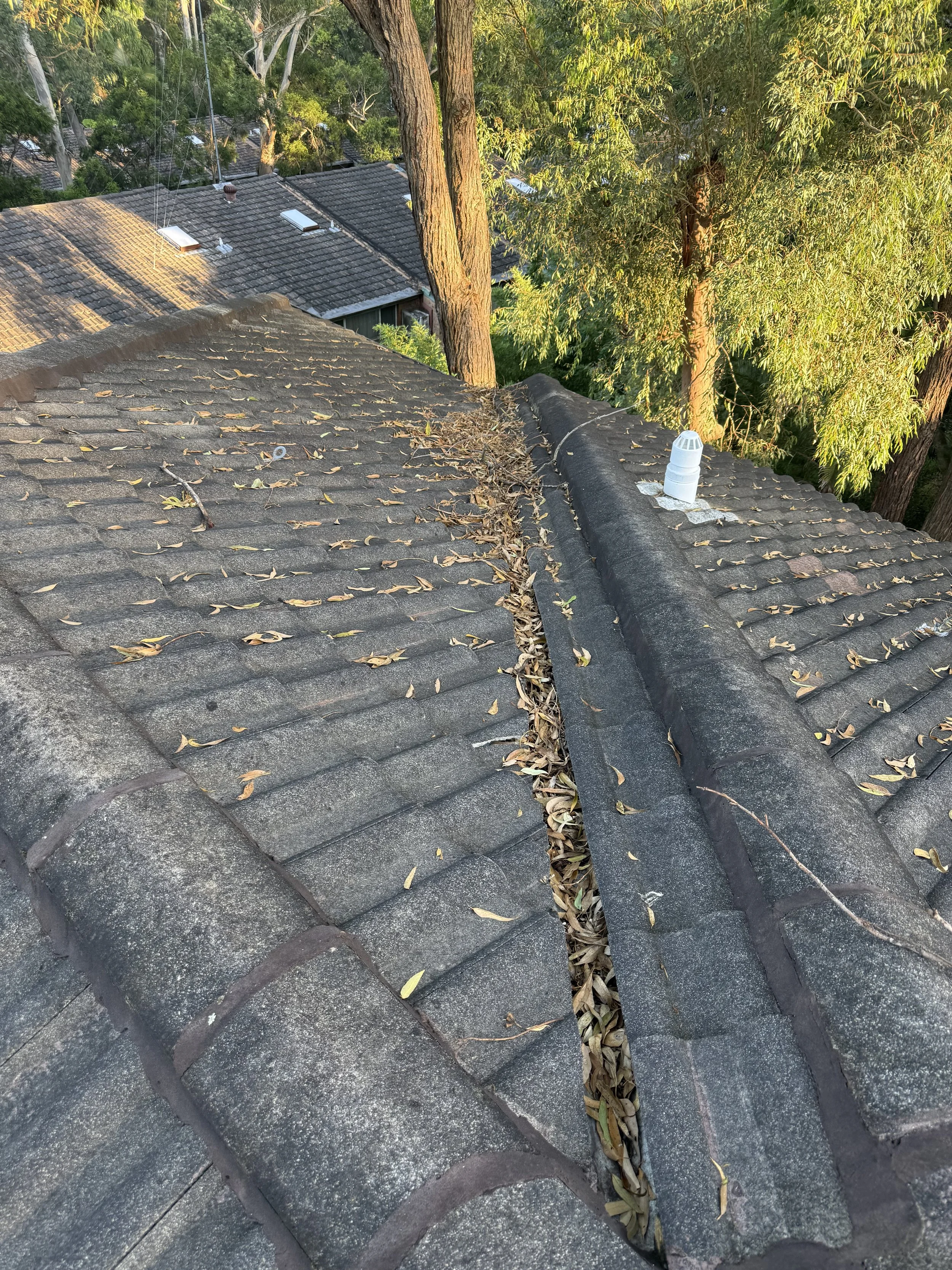 tiled roof with a significant amount of dry leaves and debris collected along the ridge and a small roof vent