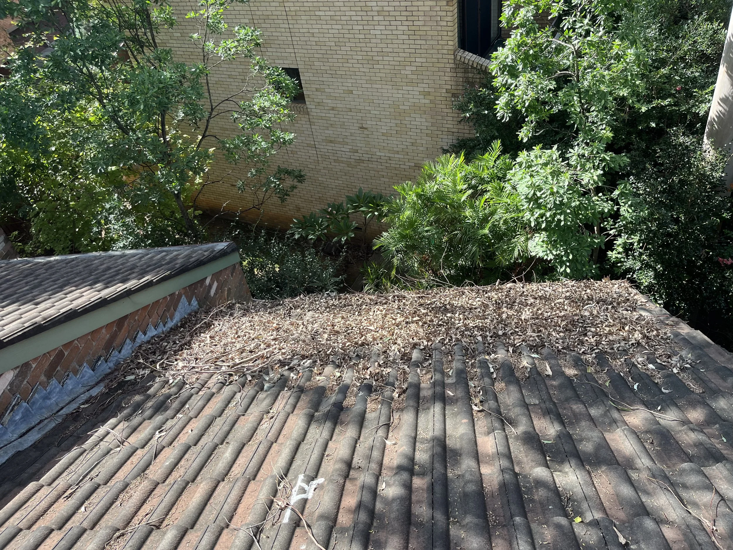 Before gutter cleaning showing cleared gutters and improved water flow