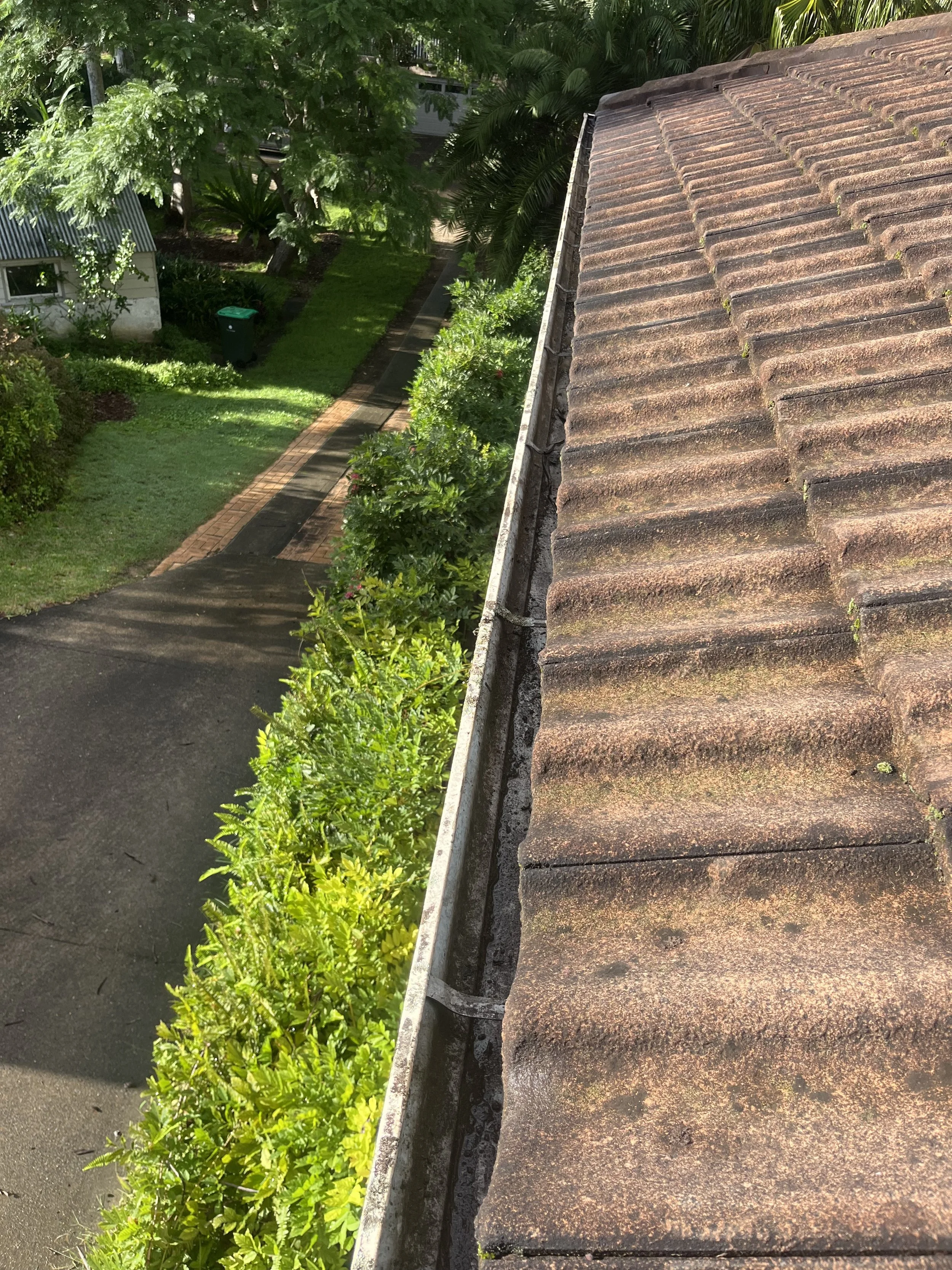 Professional gutter cleaner clearing blocked gutters on a residential home in Sydney