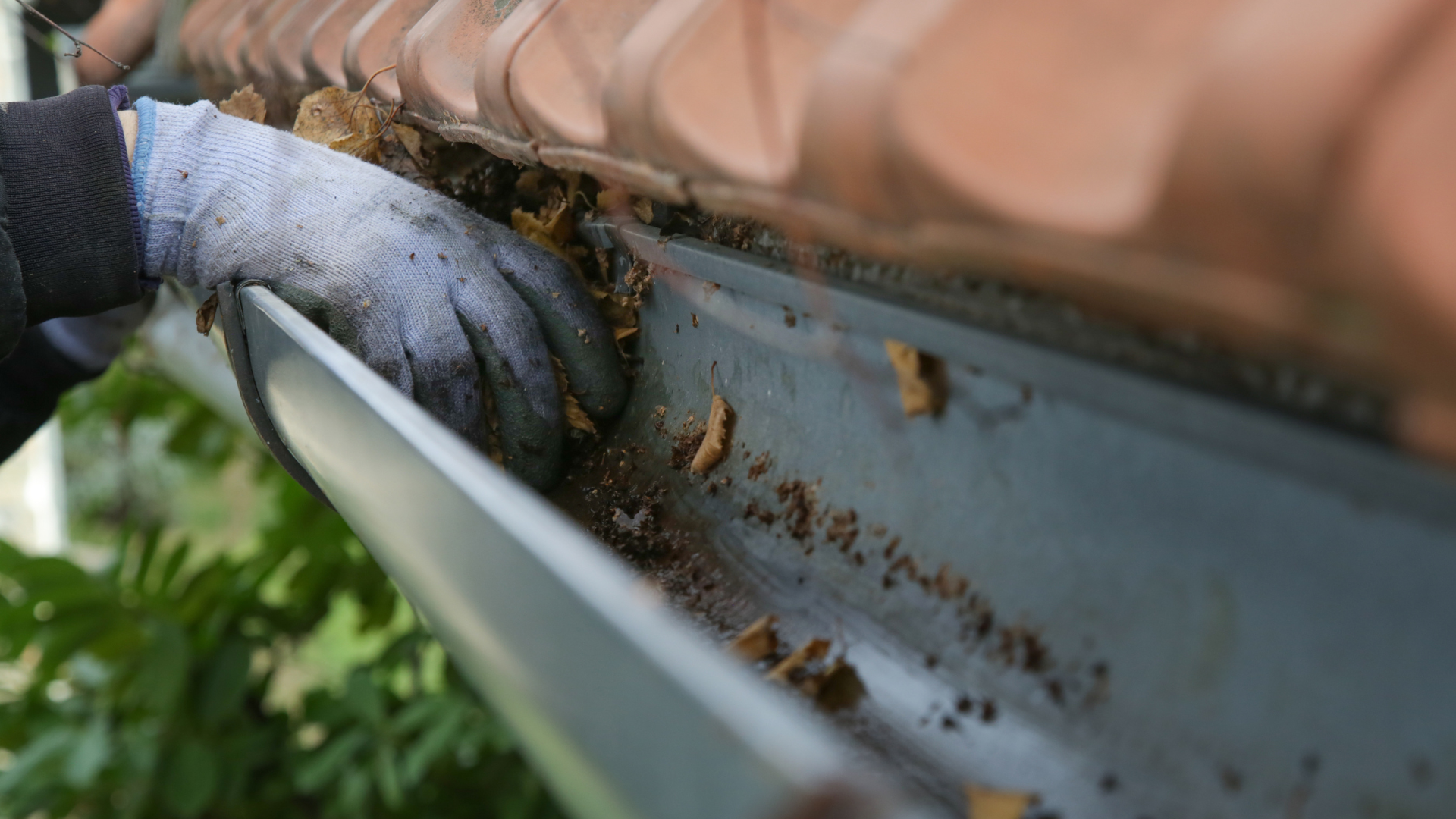 Close-up of gutter cleaning in Sydney with debris being removed by hand