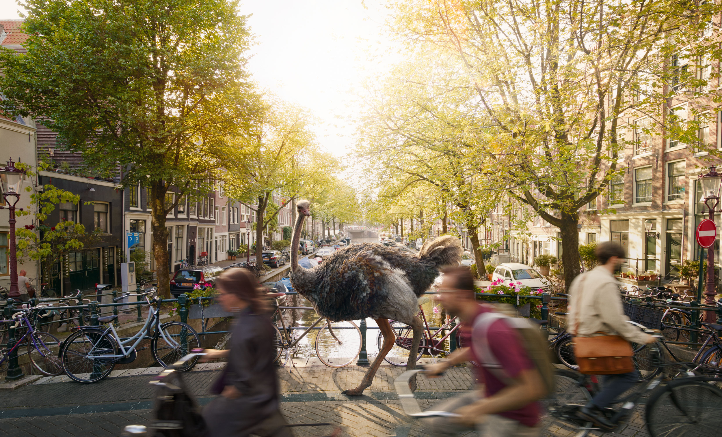 Amsterdam_Canal_RGB_LR.png