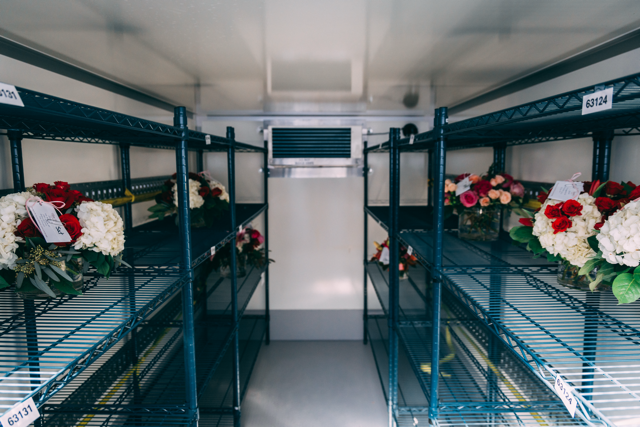 Interior with shelving