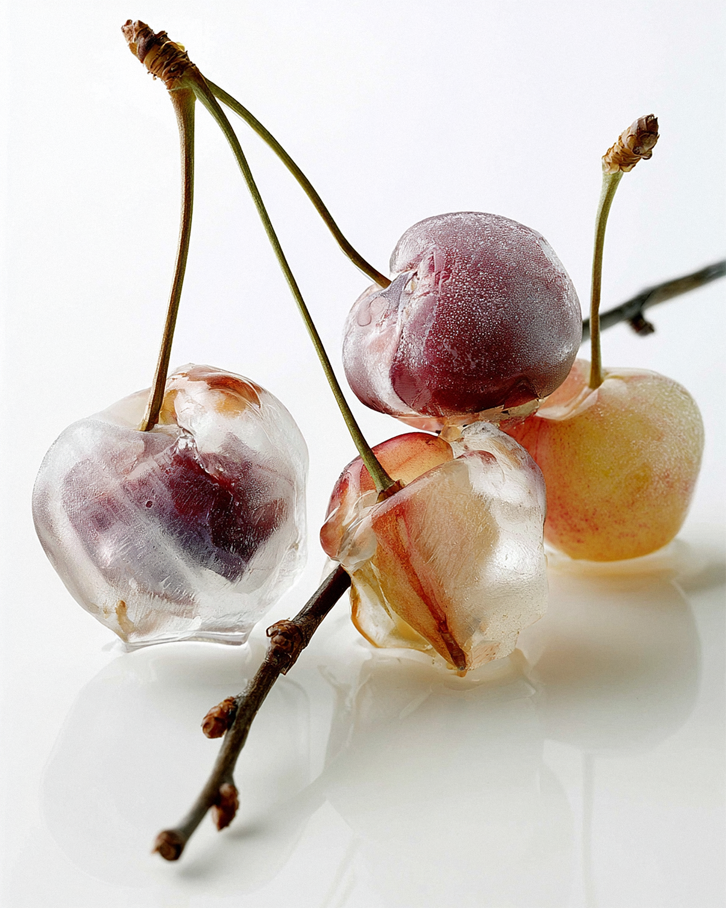 rubentres_FOTOGRAFA_ANALGICA_MACROSCPICA_DE_UNA_PEQUEA_PLANTA_a11ff70f-5cec-41fd-80e2-c4449cac2cea_0.png