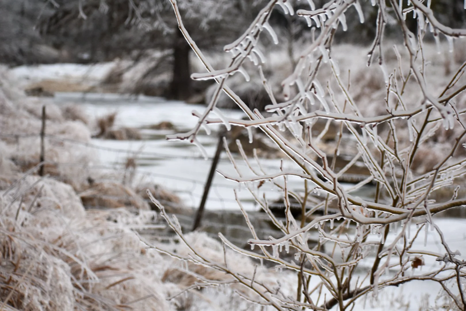 DSC_0143.JPG