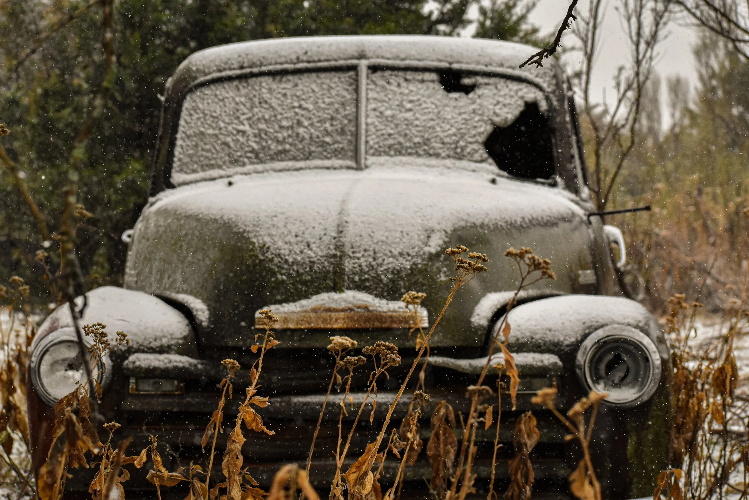 DSC_0812.JPG
