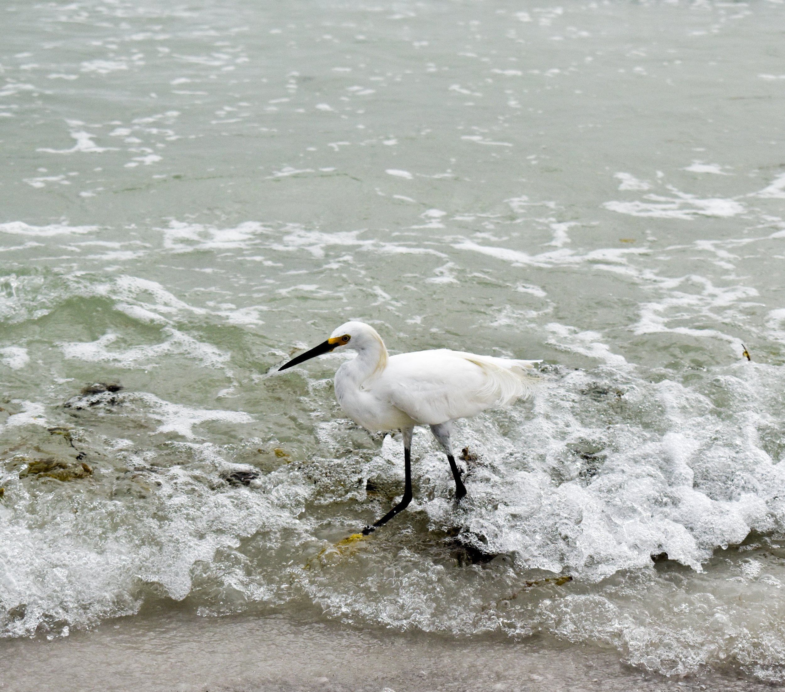 DSC_0687.jpeg