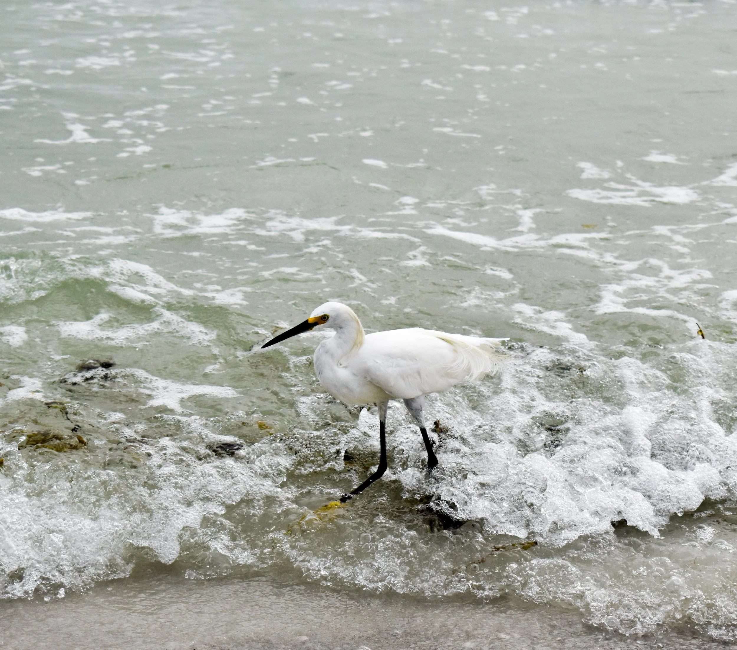 DSC_0687.jpg