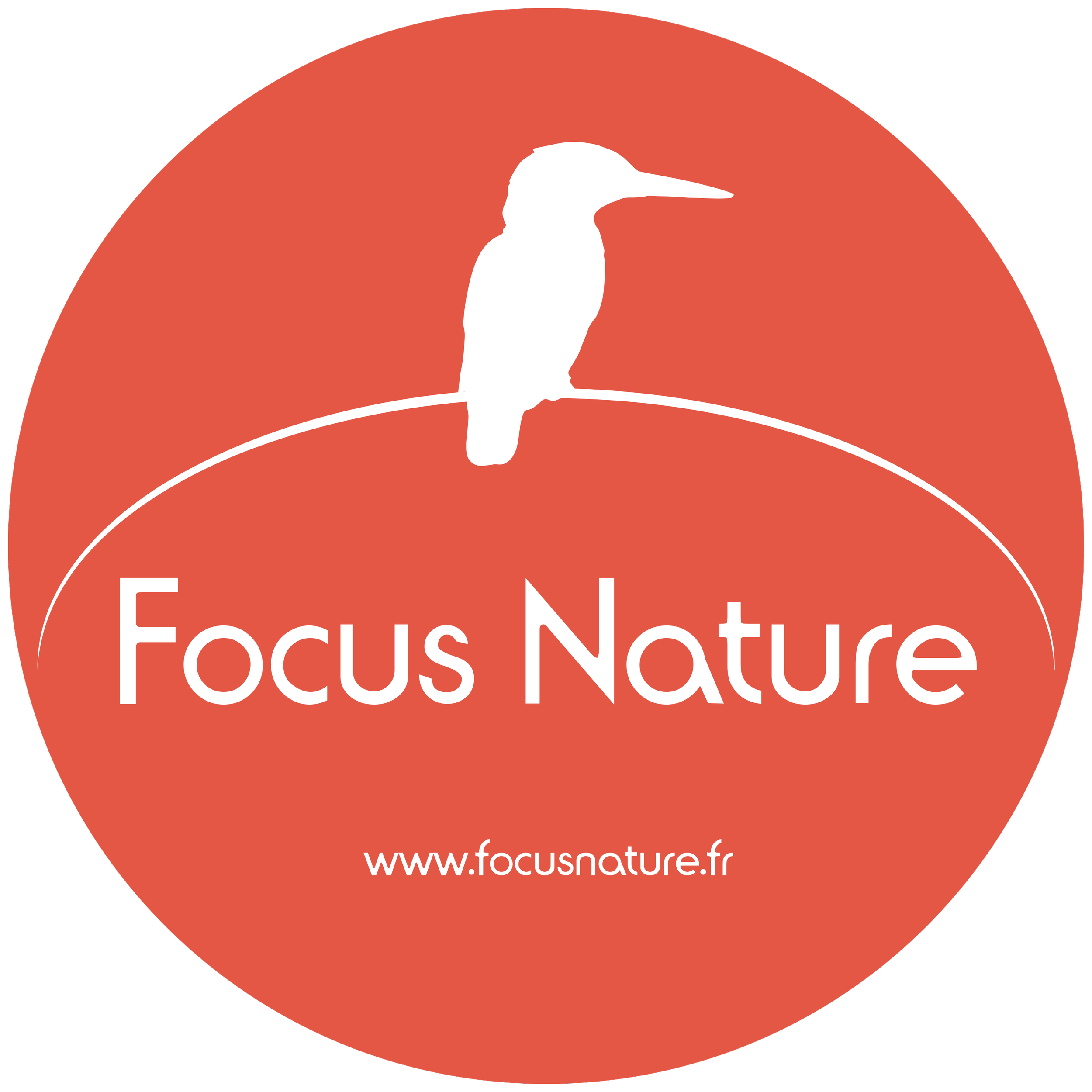 Logo circulaire rouge avec une silhouette blanche d'un martinet posé sur une branche, écrit « Focus Nature » en blanc avec le site web www.focusnature.fr en bas.