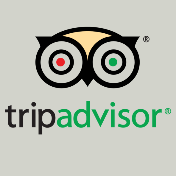 Logo de TripAdvisor avec un visage d'owl stylisé, comprenant deux grands yeux avec un point rouge et un point vert, et le texte 'tripadvisor' en dessous.