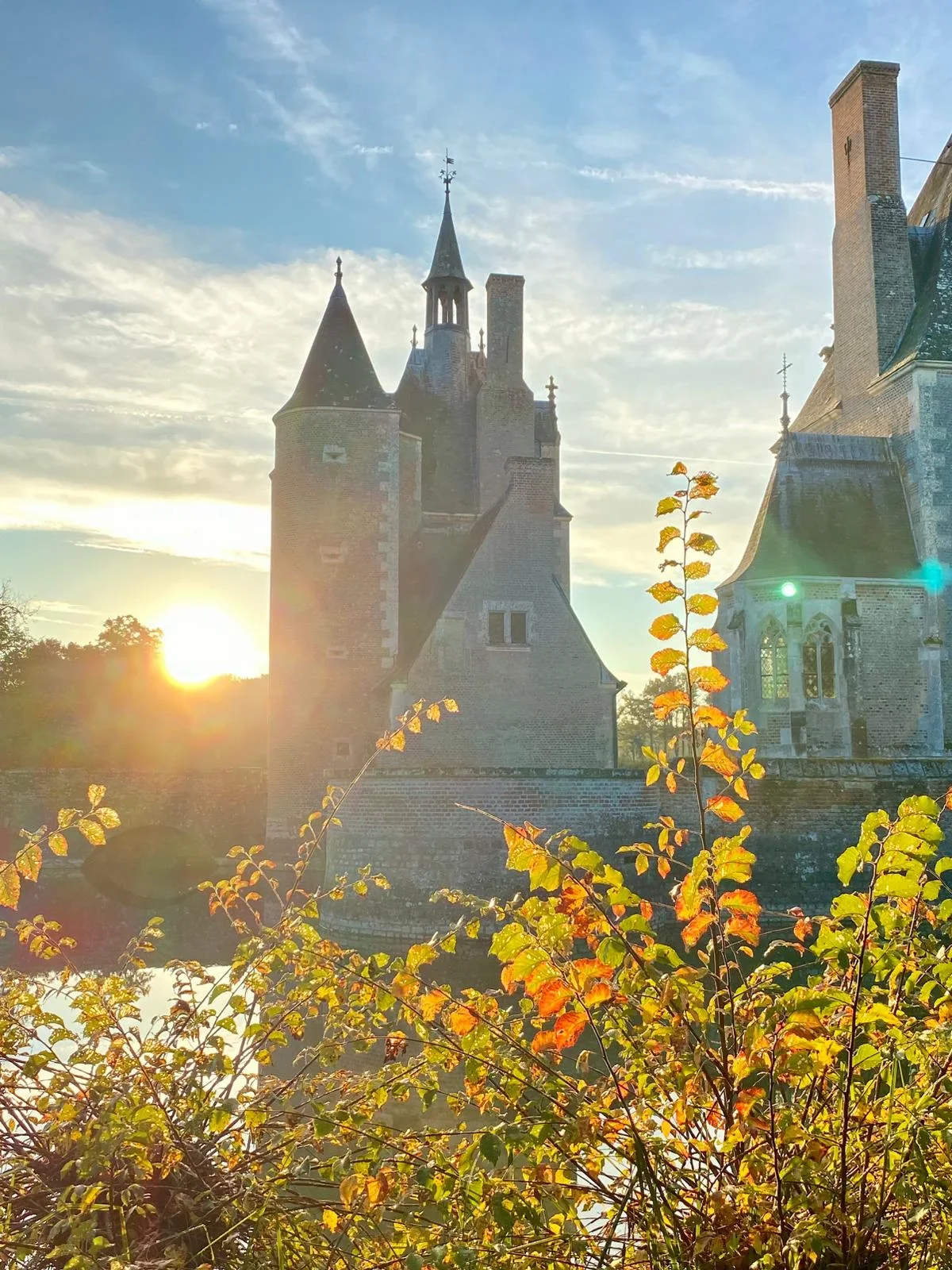Château du Moulin - La Perle de la Sologne - Lassay-sur-Croisne - Au coeur des plus beaux châteaux de la Loire et à proximité du ZooParc de Beauval