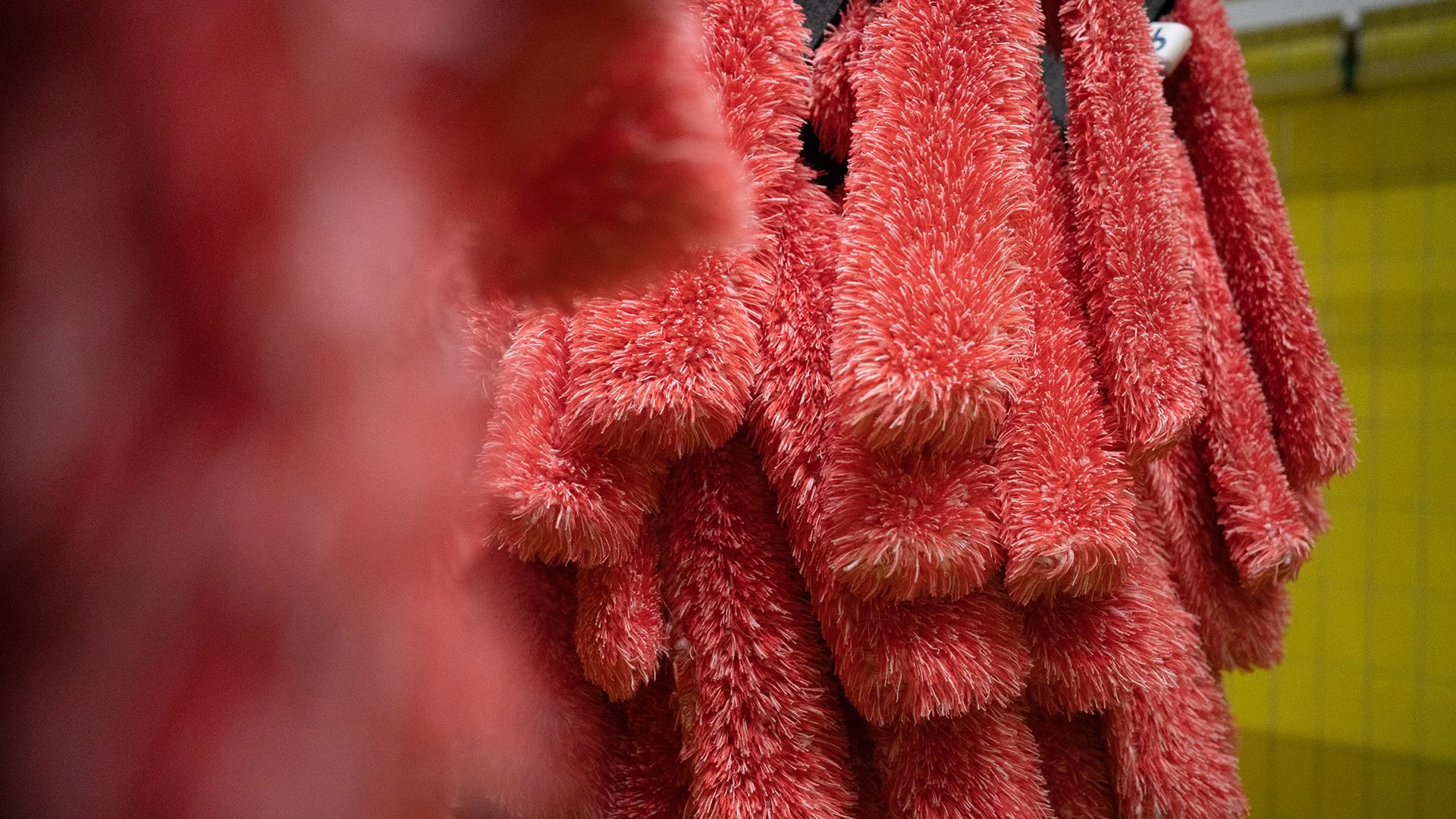 Mehrere rote Tücher oder Putzlappen hängen an einer gelben Wand.