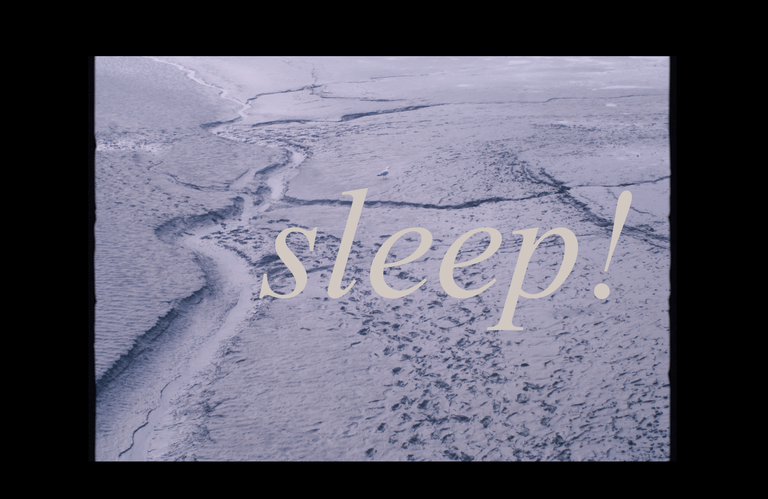 Screenshot 2025-05-03 at 12.33.47.png