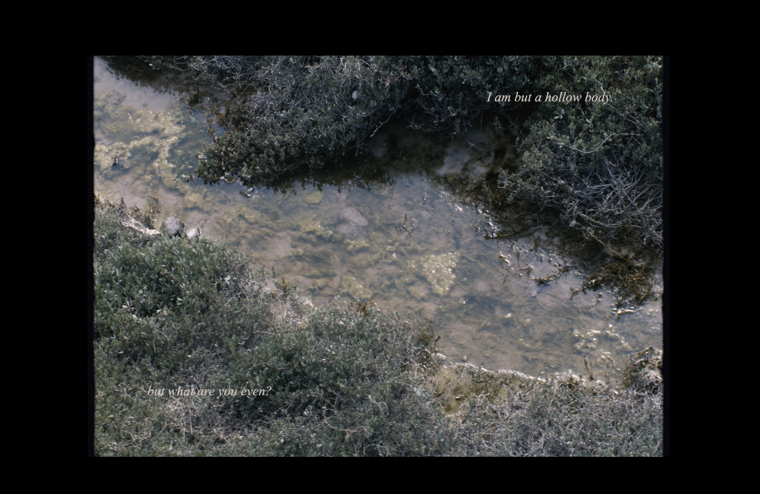 Screenshot 2025-05-03 at 12.32.56.png