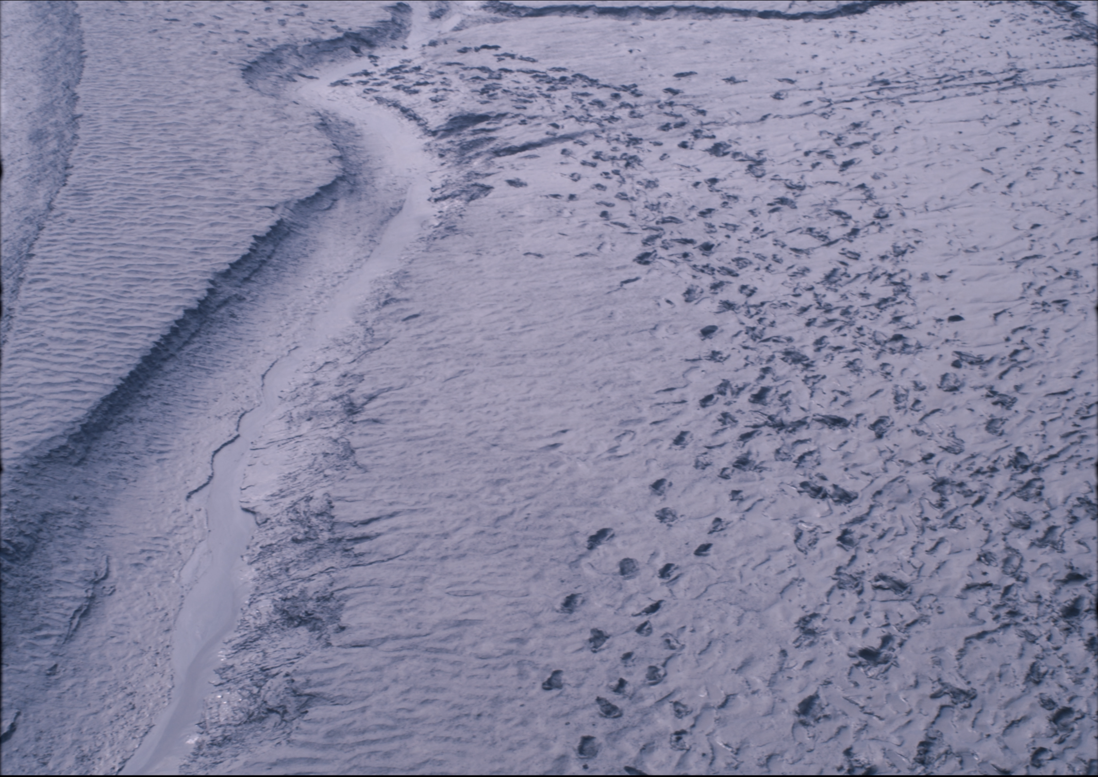 Screenshot 2025-05-02 at 17.08.08.png