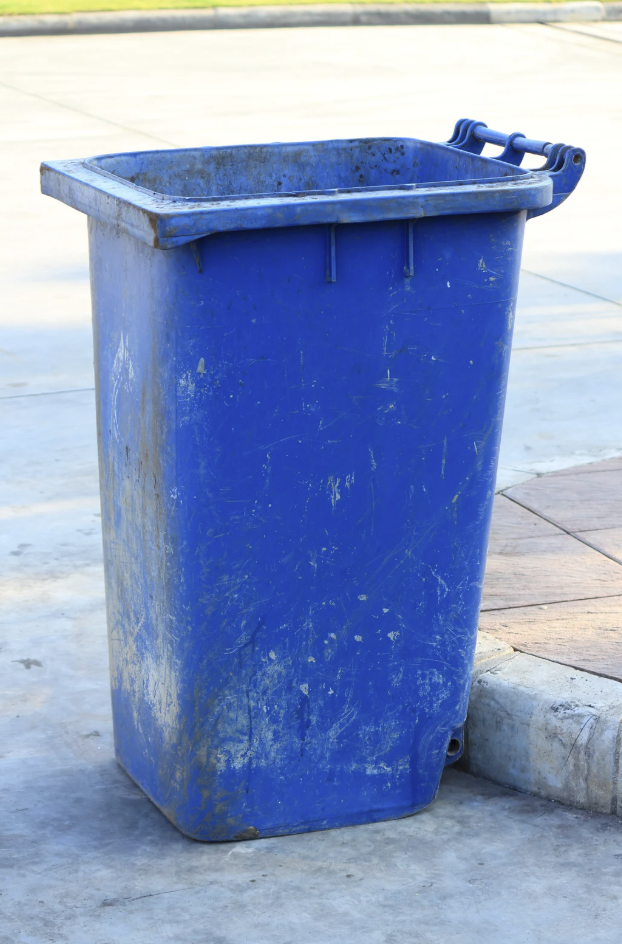 Trashcan Cleaning