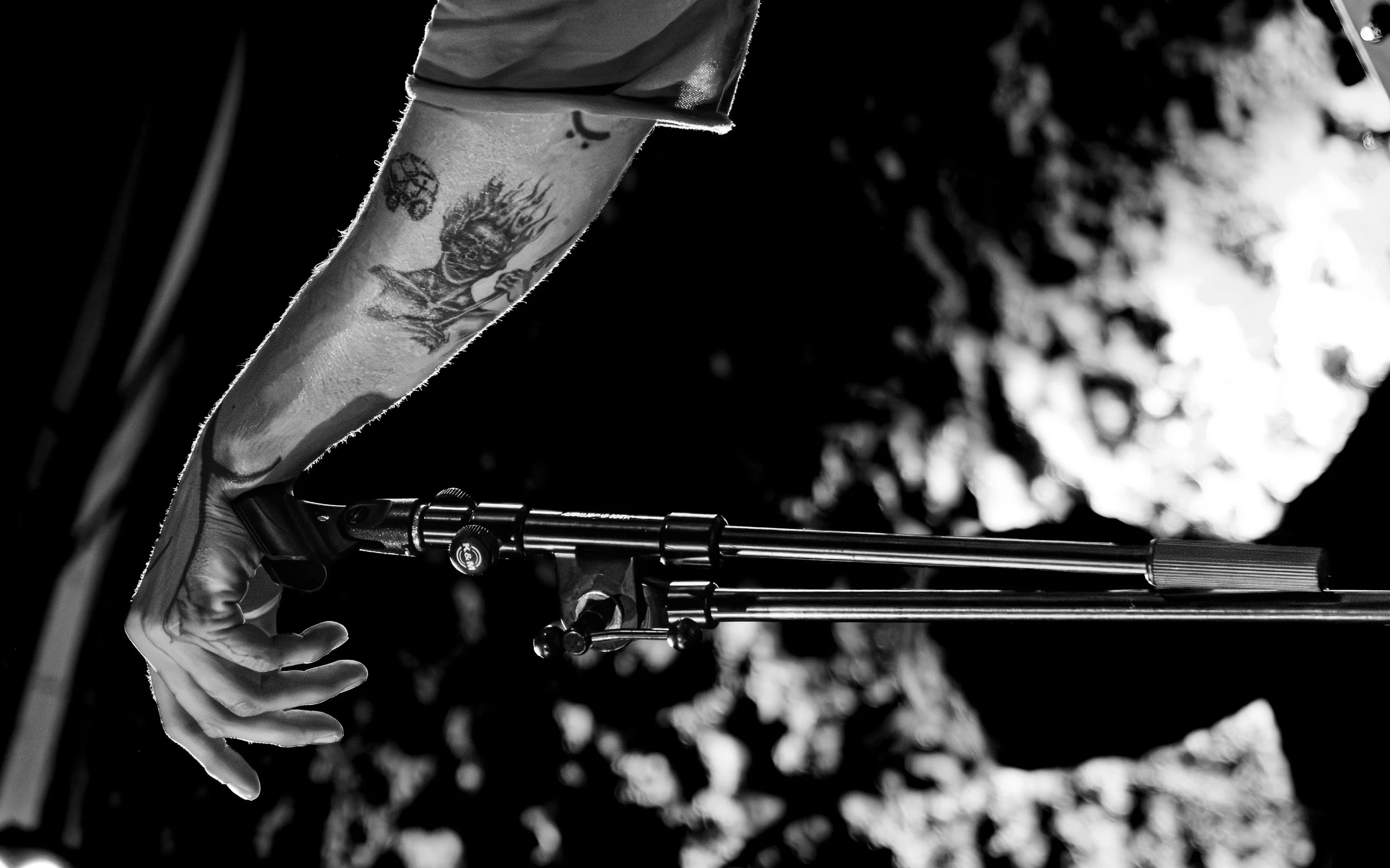 Evening Elephants Munich August 2026 (@_antistry)-77.jpg