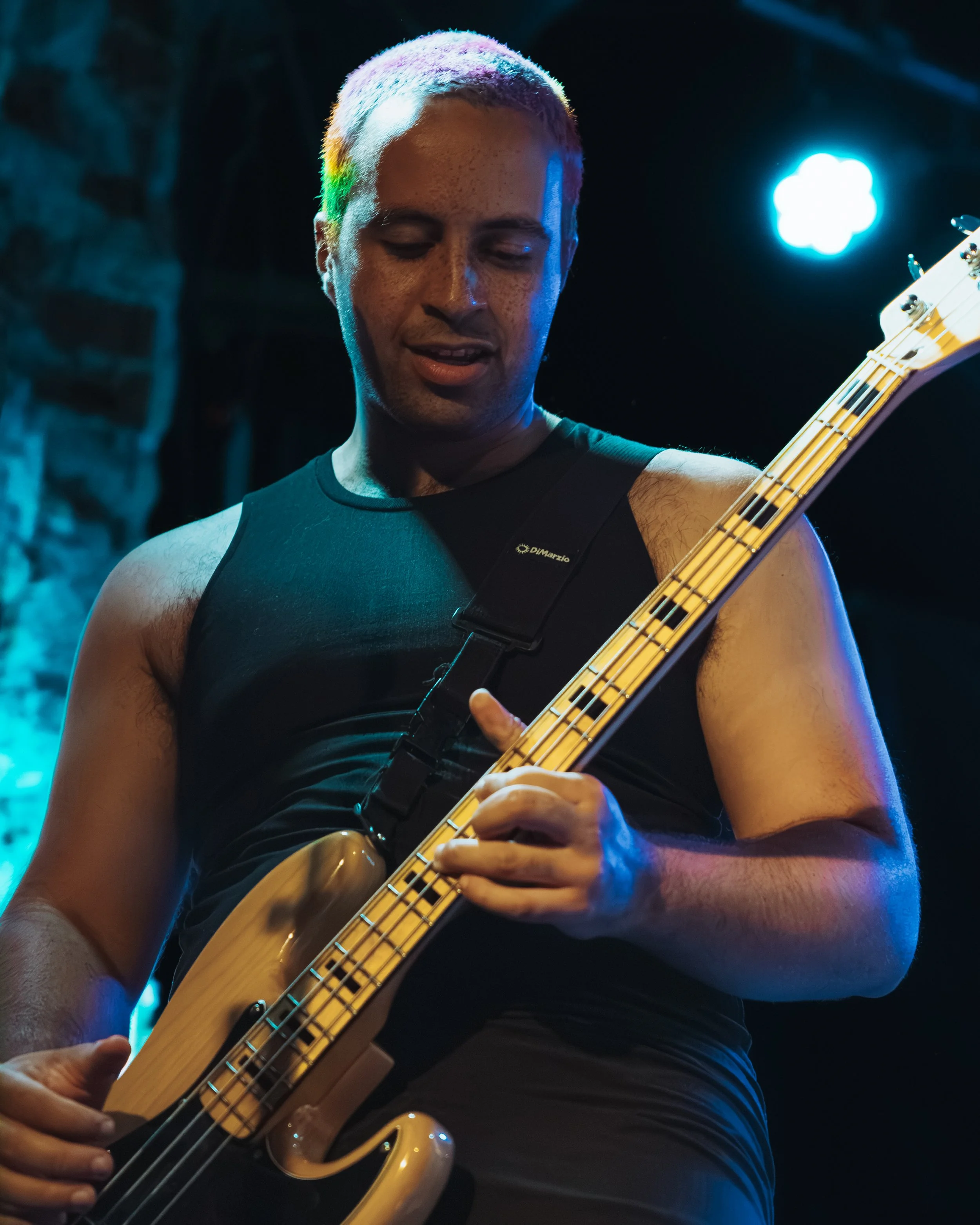 Evening Elephants Munich August 2026 (@_antistry)-40.jpg