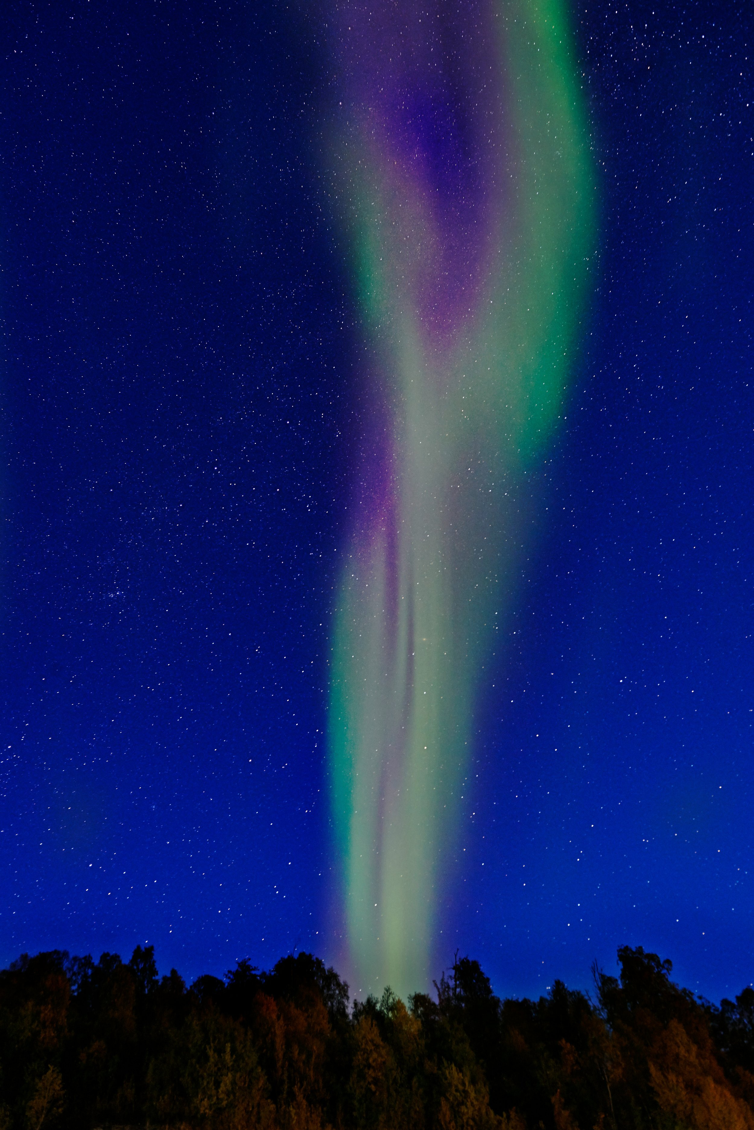 Grønne og lilla nordlys danser over snødekt landskap utenfor Tromsø