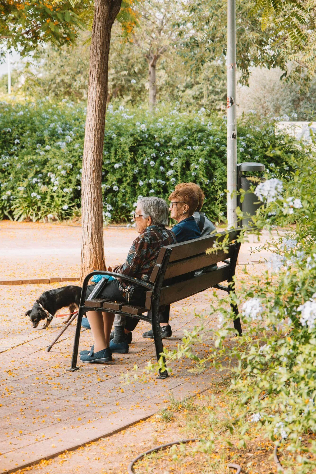 2 older women sitting on a park bench