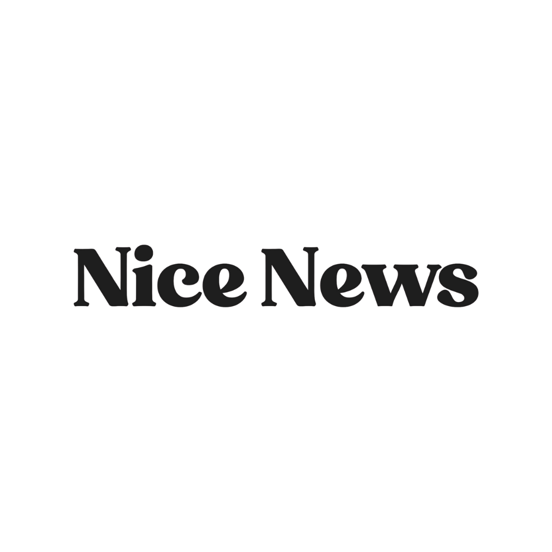Nice News Logo
