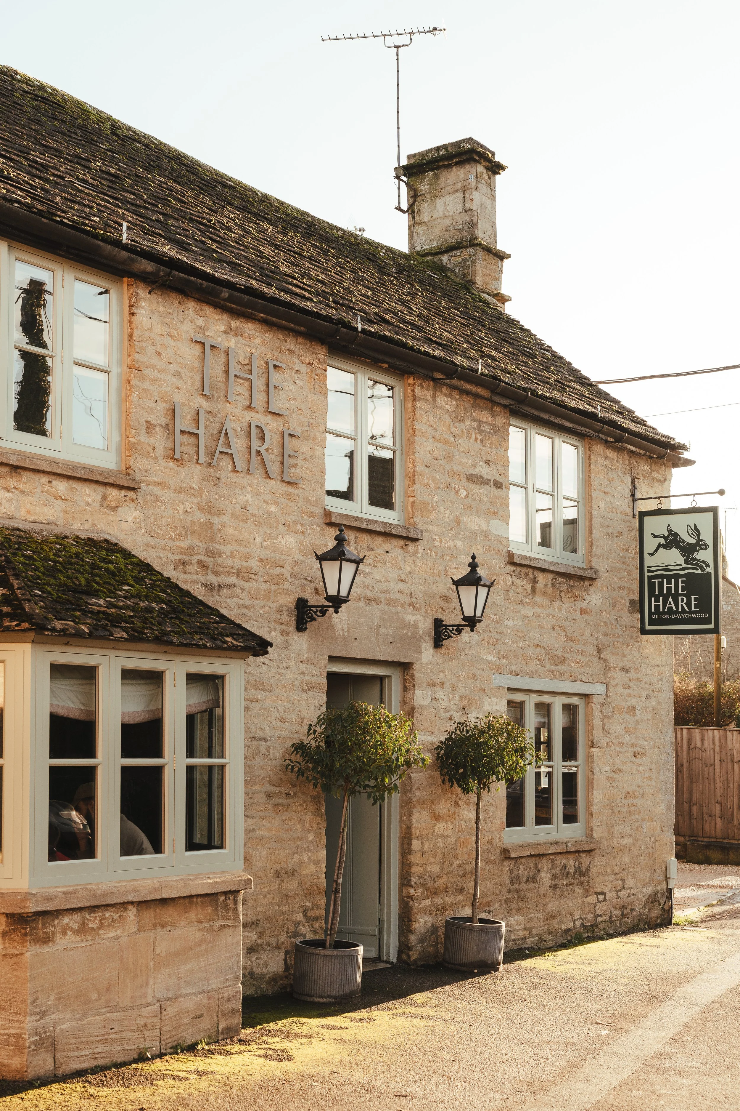 The Hare Feb 26'028.JPG