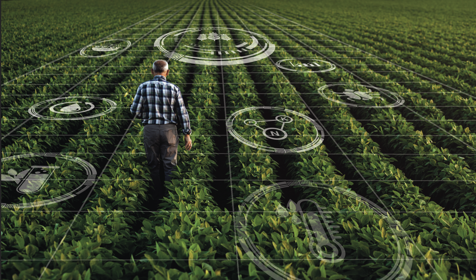 A man walking through a lush green agricultural field with superimposed digital icons and data overlays indicating futuristic farm technology.