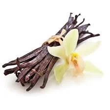 Vanilla orchid, vanilla bean pods, and a vanilla flower