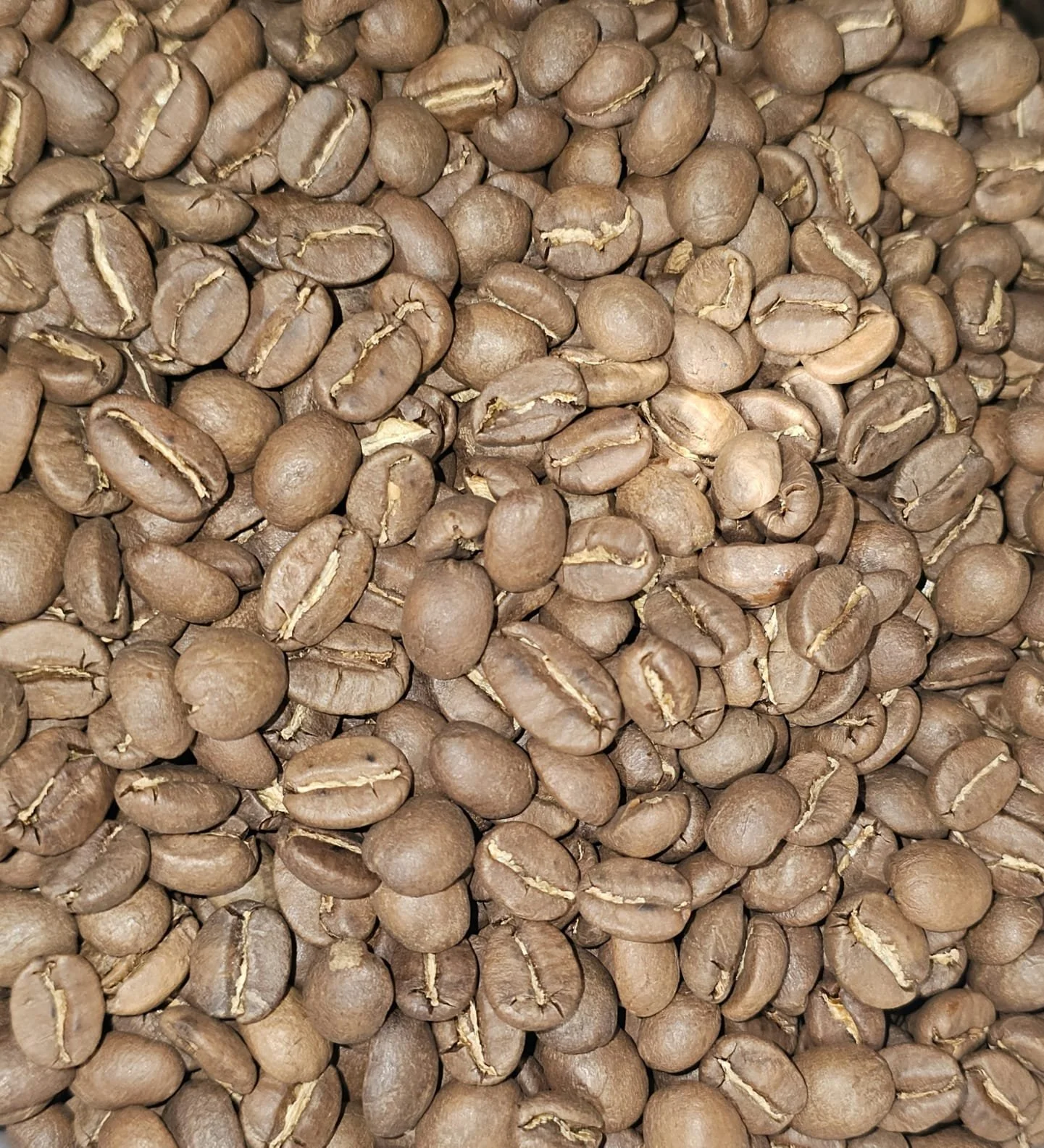 GUATEMALA (Calvados XO)
