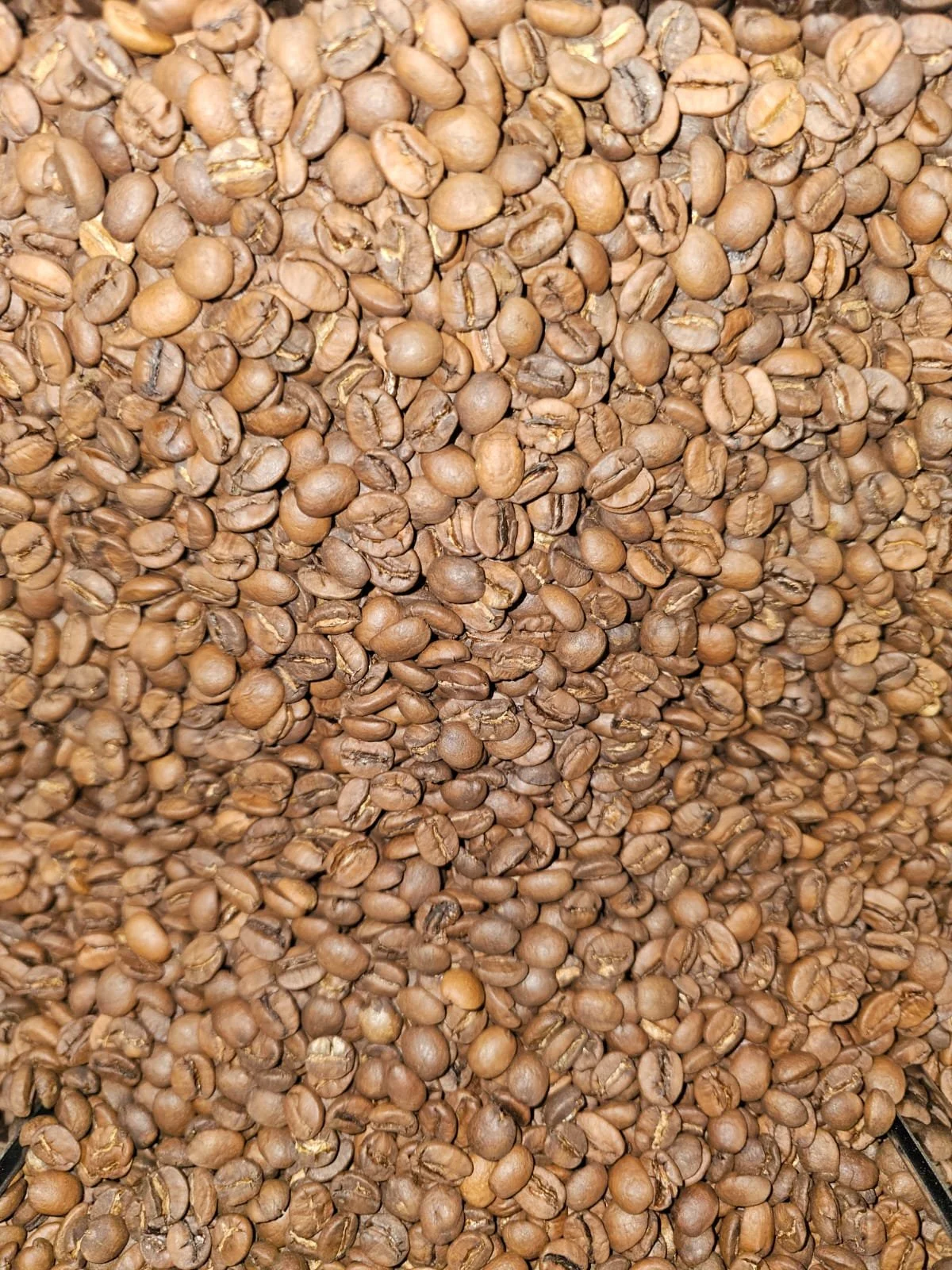 BRESIL
