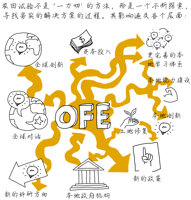 OFE-CN-22.png