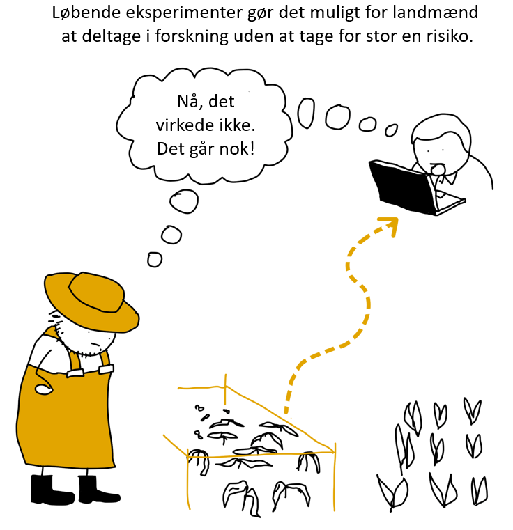 Illustration of a farmer with arms crossed and a hat, thinking 'Now, it didn't work. It probably will!' in Danish, with a thought bubble. There is a grid of fish in the center and a person working on a laptop to the right, connected by a dashed arrow