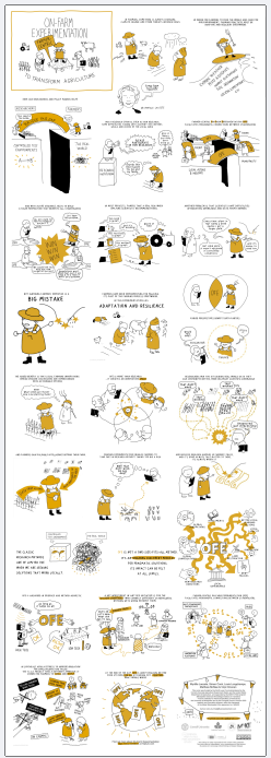 Comic strip about farm experimentation titled 'On-Farm Experimentation' with characters discussing agricultural practices, mistakes, and innovation. Includes scenes of people working with farm animals, using equipment, and overcoming challenges, emphasizing learning and resilience in farming.