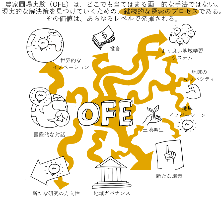 Flowchart illustrating the continuous exploration process of OFE for finding practical solutions in agriculture. The diagram includes icons representing investment, good local learning systems, regional campaigns, land regeneration, new policies, reg