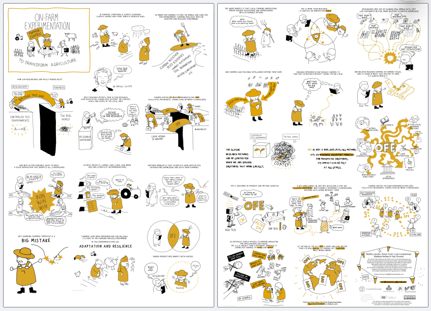 A detailed infographic about on-farm experimentation and transforming agriculture, showing illustrations of farmers, scientific experiments, data collection, and global impacts. It includes sections on big mistakes, adaptation, resilience, and the role of research, technology, and local knowledge in modern farming innovation.