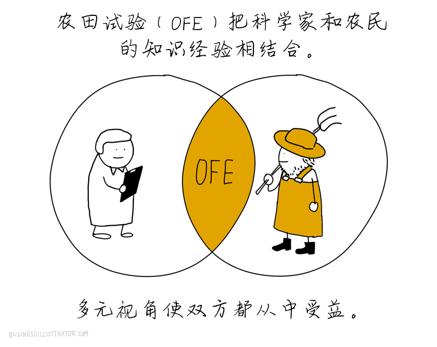 OFE-CN-13.png