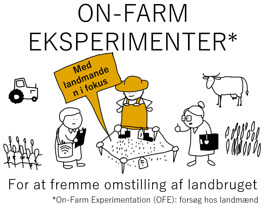 Illustration of on-farm experiments with farmers and researchers, including a tractor, crops, a cow, and a person in a lab coat, focusing on agricultural innovation.