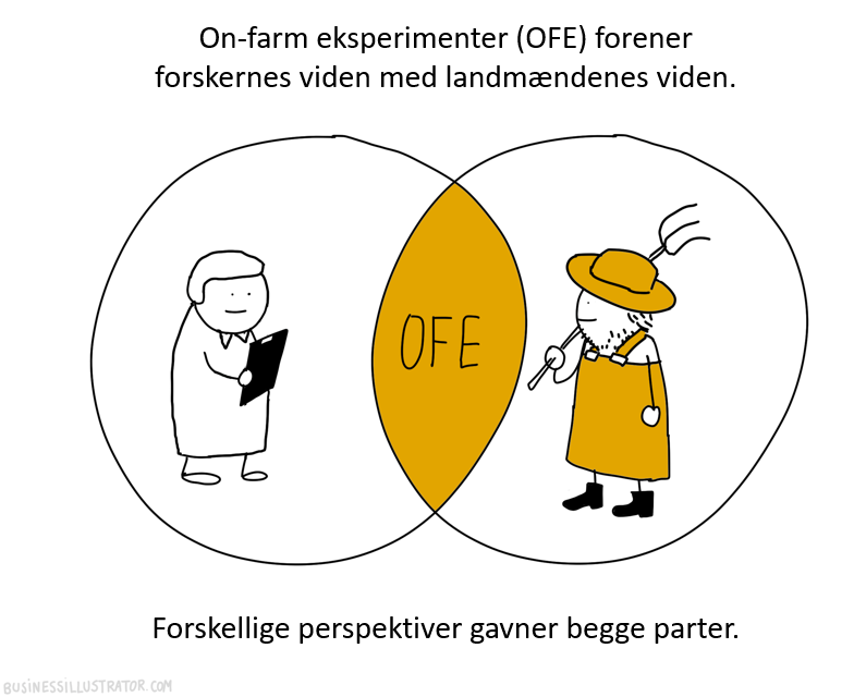 Venn diagram showing the overlap between on-farm experimentation (OFE) and farmers' knowledge, with illustrations of a researcher holding a clipboard and a farmer wearing traditional clothing and a hat. The diagram highlights how different perspectiv