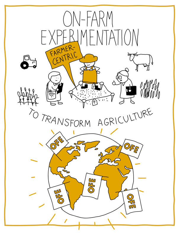 The OFE Comic - 2025 Global