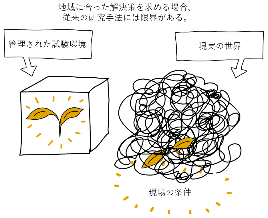 Diagram comparing managed experimental environment and the real world, illustrating complexity and chaos in real-world conditions with tangled lines and leaves.