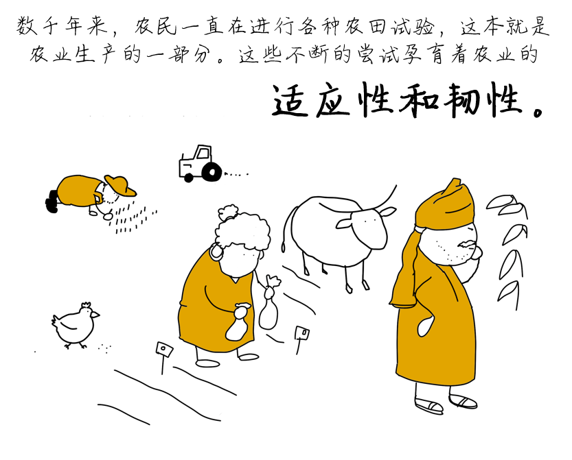OFE-CN-12.png