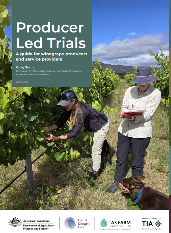Producer-Led Trials, A guide for winegrape producers and service providers - 2025 Australia