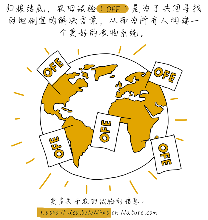 OFE-CN-27.png