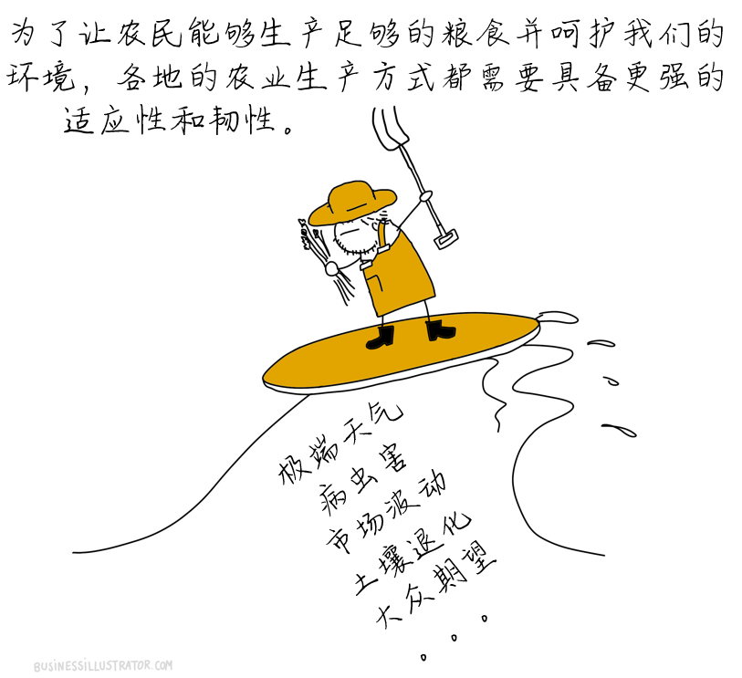 OFE-CN-03.png