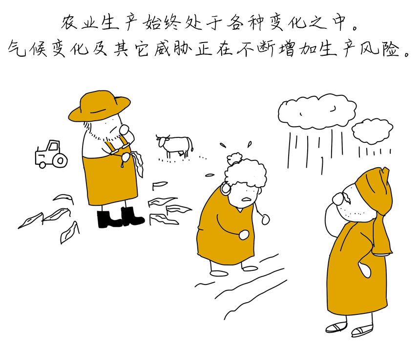 OFE-CN-02.png