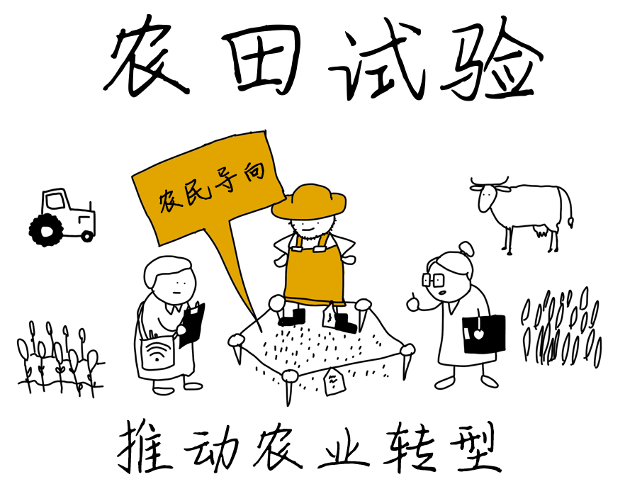OFE-CN-01.png