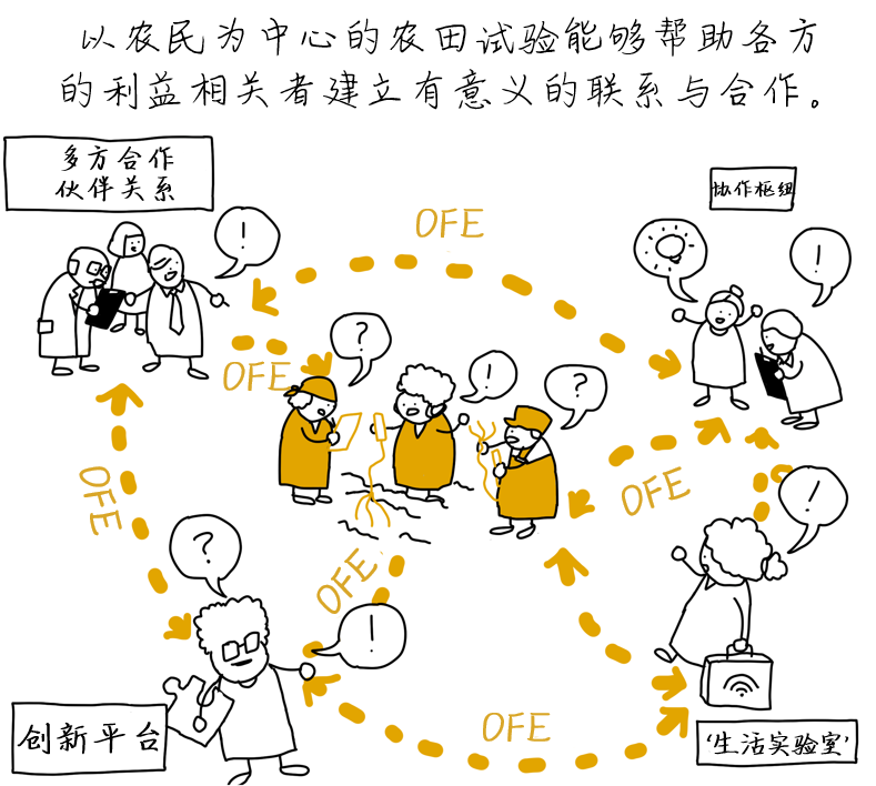 OFE-CN-25.png